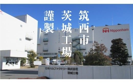 【 熨斗 対応品 】 日本ハム 筑西工場 本格派 ギフトセットD 肉 にく 贈答 ギフト 詰め合わせ ハム ソーセージ ウィンナー 生ハム 焼豚 お中元 お歳暮 [AA085ci]