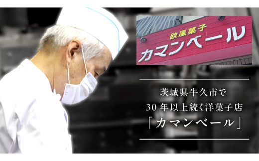 濃厚 ！ ベイクドチーズケーキ （ 冷凍 ） ホールケーキ チーズケーキ 冷凍ケーキ クリームチーズ 濃厚 甘い おいしい 美味しい スイーツ おうちカフェ お菓子 おやつ お取り寄せ お土産 贈り物 お祝い 誕生日 プレゼント ギフト パーティー 国産 茨城 [AF002us]