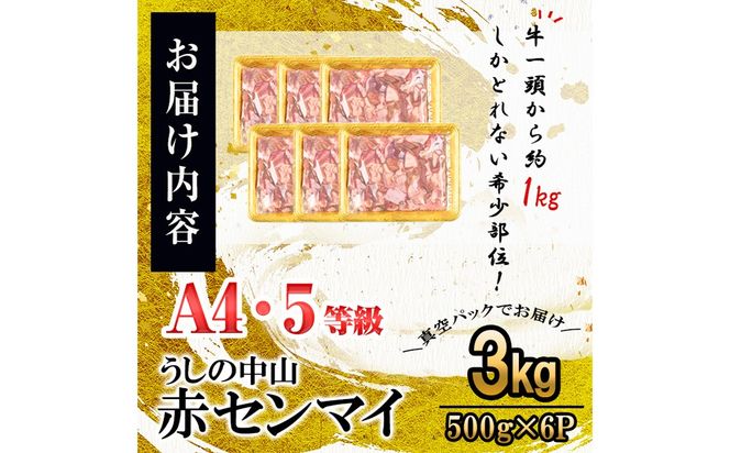 うしの中山 A4・A5等級黒毛和牛 赤センマイ（ギアラ）計3kg（500g×6P）c0-132