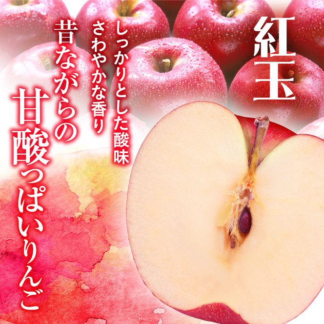 【訳あり】りんご 青森 紅玉 約 10kg (36～44玉) 青森県産 リンゴ サイキチ農園 青森県 鰺ヶ沢町産 フルーツ 果物 不揃い 傷 林檎