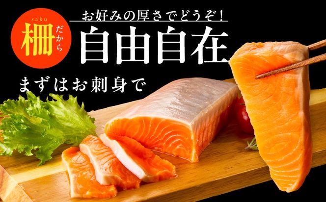 010B1969 【お試し】サーモン 500g ポーション【訳あり サイズ不揃い 刺身 海鮮丼 さーもん サラダ カルパッチョ 鮭 さけ シャケ しゃけ 人気 小分け 冷凍 家計応援】