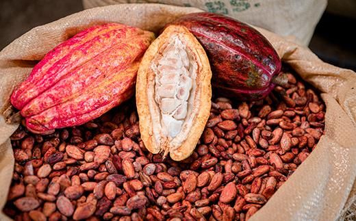 【Premarché Cacaolate Lab】国際コンテスト入賞店の手づくりチョコレート フレーバー食べ比べ6枚セット［ 京都 チョコレート専門店 スイーツ チョコ 食べ比べ おいしい 人気 おすすめ お菓子 洋菓子 お取り寄せ 通販 送料無料 ふるさと納税 ］ 261009_A-UA006