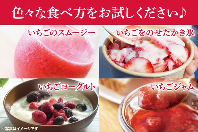 瞬間冷凍完熟いちご 500g×2袋｜いちご イチゴ 苺 冷凍イチゴ 冷凍いちご 冷凍 冷凍フルーツ 完熟 フルーツ 果物 くだもの デザート おやつ スムージー ジャム 数量限定(S-9-1)