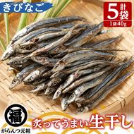 鹿児島県阿久根市産生干し「きびなご」(計5袋・1袋40g)国産 魚介 干物 ひもの キビナゴ がらんつ干物【マルフク川畑水産】akn029-04