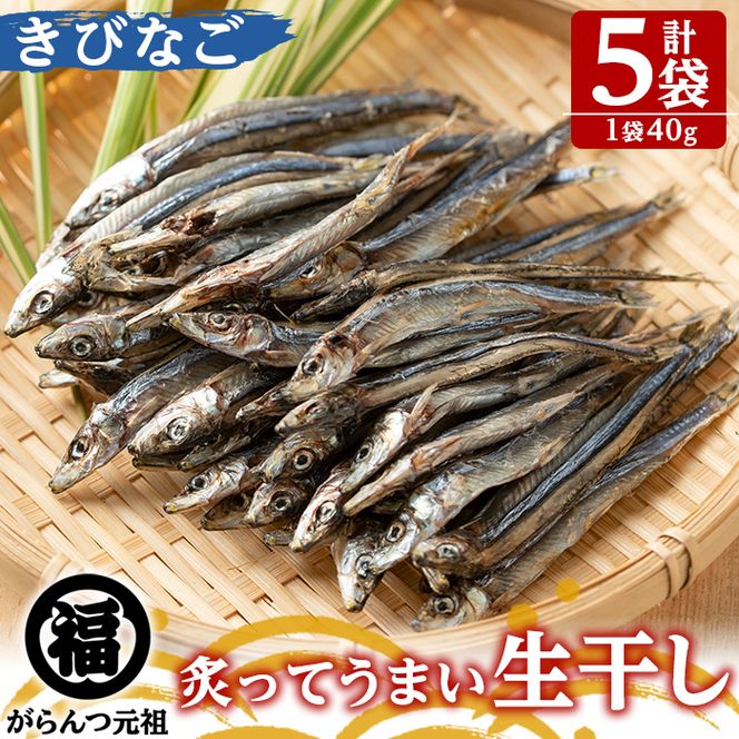 鹿児島県阿久根市産生干し「きびなご」(計5袋・1袋40g)国産 魚介 干物 ひもの キビナゴ がらんつ干物【マルフク川畑水産】akn029-04