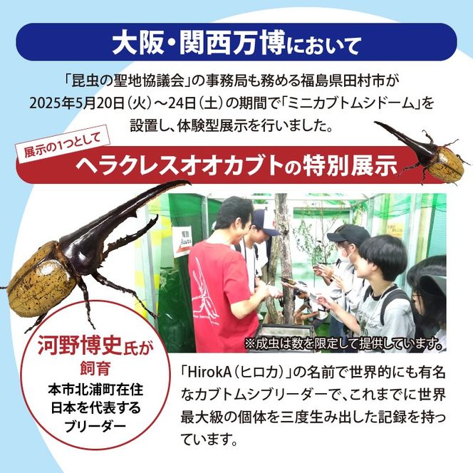 okazuさま専用　百年の孤独　２本セット 楽天市場】GRANZ 2段ラック扉1枚 ラック マルチラック 収納家具