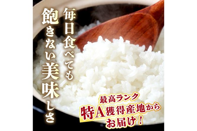 【3ヶ月定期便】直売所直送「令和7年産　京丹後市産　コシヒカリ」　精米10kg こめ ふるさと納税 コシヒカリ 精米 米 精米 白米 2025 年 京都産　JA00087S
