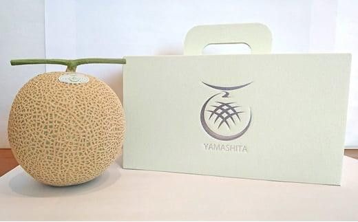 静岡温室メロン Ｌ玉1.6kg～1.7kg ×２玉　最高級のマスクメロン　山下メロン園　高級果実店に仕入るほどの自信のあるメロン  ギフト  メロン めろん 箱詰め フルーツ 果物  産地直送 甘いメロン 糖度 青肉 222232_AY004