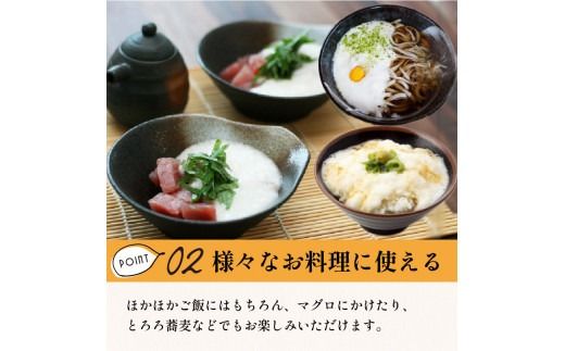 ところのとろろ3個・TOKOROBIANCA(帆立醤油)1本セット ( おつまみ 長芋 芋 とろろ )【121-0011】