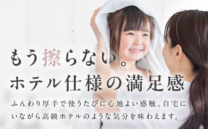 099H4559 【スピード発送】世界最高峰のタオル nei バスタオル 6枚（ブルー）【ホテル仕様 上質 厚手 吸水性 たおる ギフト 国産】