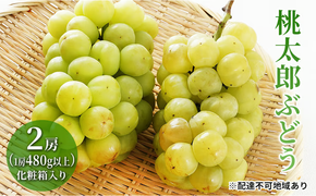 ぶどう 2026年 先行予約 桃太郎 ぶどう 2房（1房480g以上）化粧箱入り ブドウ 葡萄 岡山県産 国産 フルーツ 果物 ギフト 大粒 種なし 果汁たっぷり 酸味 甘さ バランス [№5735-1472]