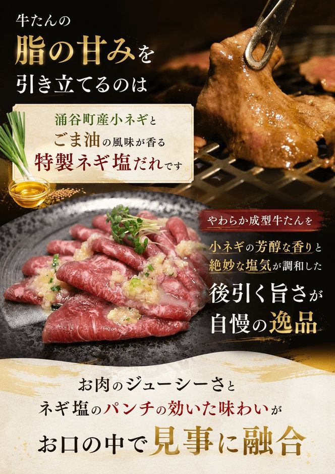 成型牛たんネギ塩味(涌谷産小ねぎ使用） 250ｇ×4 / 牛タン 焼肉 たん 和牛 牛 タン BBQ【tontaro002】