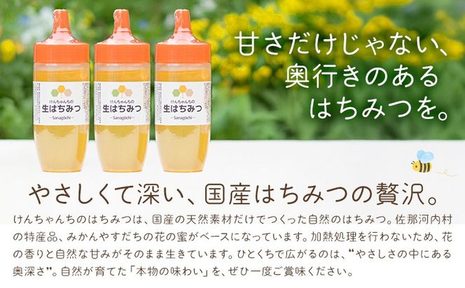 けんちゃんちのはちみつ 300g 3本セット《30日以内に出荷予定（土日祝除く）》ふるさと納税 はちみつ ハチミツ 蜂蜜 国産蜂蜜 天然蜜蜂 徳島県 佐那河内村 送料無料---tsm_mkf5_30d_25_14500_900g---