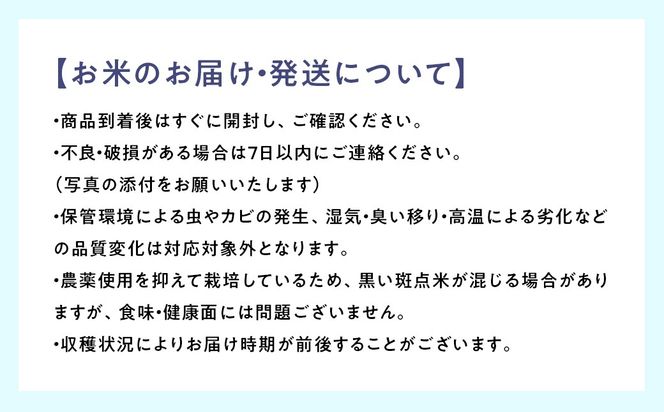 【令和7年産】【精米】コシヒカリ5kg｜茨城県常総市産　精米 米　お米　白米　ご飯　コメ こめ　こしひかり