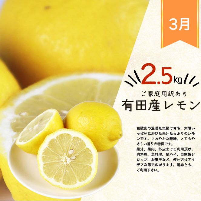 〈定期便〉【1・2・3月 全3回】紀州和歌山産旬のご家庭用柑橘セット(みかん・不知火・レモン)　※離島への配送不可