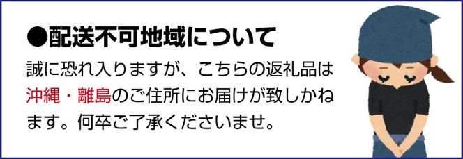 【梅干・梅酒用】（LまたはM－10Kg）熟南高梅＜2026年6月上旬～7月上旬ごろに順次発送予定＞【art013B】