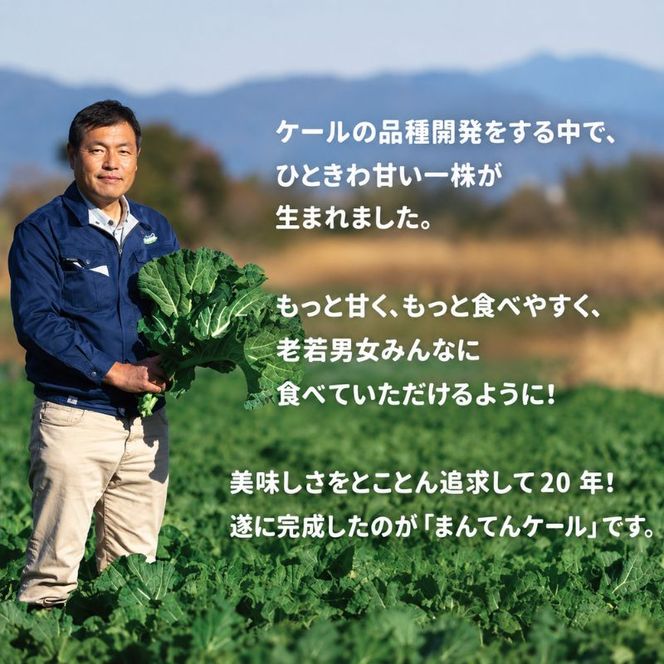 まんてんケール 　冷凍カットケールセット 野菜 冷凍野菜 食べやすい スムージー ソテー 炒め物 食材 食卓