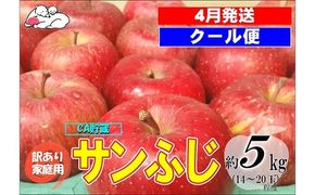 【クール便】4月発送 白熊 訳あり家庭用 サンふじ 約5kg 糖度13度【青森りんご・ 果物 フルーツ 食後 デザート シャキシャキ ジューシー りんごの王様 】