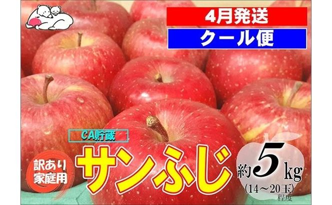 【クール便】4月発送 白熊 訳あり家庭用 サンふじ 約5kg 糖度13度【青森りんご・ 果物 フルーツ 食後 デザート シャキシャキ ジューシー りんごの王様 】
