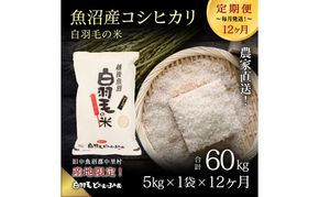 【通年受付】≪令和8年産≫【定期便／全12回】農家直送！魚沼産コシヒカリ「白羽毛の米」精米 (5kg×1袋)×12回 60kg お米