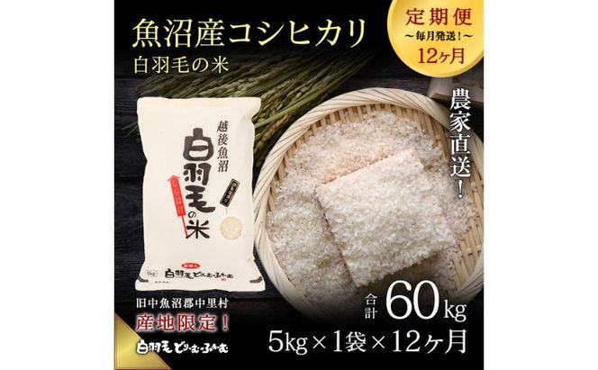 【通年受付】≪令和8年産≫【定期便／全12回】農家直送！魚沼産コシヒカリ「白羽毛の米」精米 (5kg×1袋)×12回 60kg お米