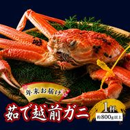 茹で越前ガニ【年末お届け】食通もうなる本場の味をぜひ、ご堪能ください。約800g以上×1杯 越前がに 越前かに 越前カニ ずわいがに かに カニ ボイルガニ 蟹 