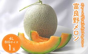 【2026年夏発送】北海道 富良野 メロン 特大 4Lサイズ 2.5kg以上×1玉 フルーツ 果物