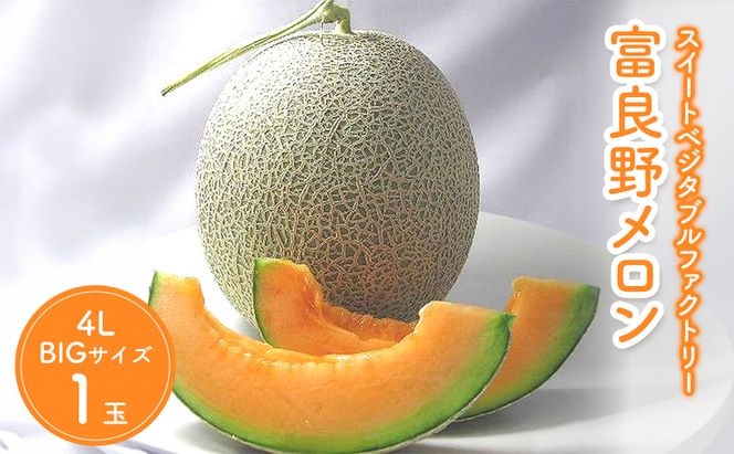 【2026年夏発送】北海道 富良野 メロン 特大 4Lサイズ 2.5kg以上×1玉 フルーツ 果物