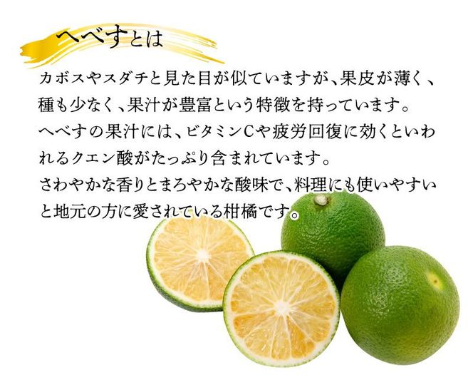 へべすのお酒1800ml×2本 N041-YC091