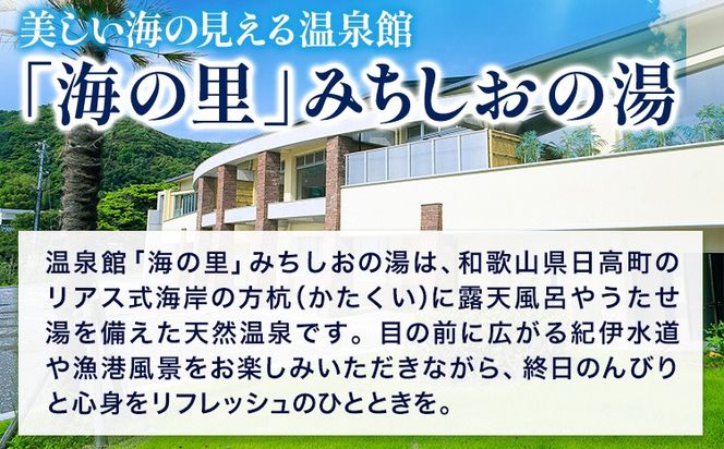 【温泉館「海の里」みちしおの湯】利用券 12枚組 日高町役場《30日以内に出荷予定(土日祝除く)》和歌山県 日高町 温泉 チケット 天然温泉 家族温泉 露天風呂---iwsh_hdyumimy_30d_23_20000_12p---