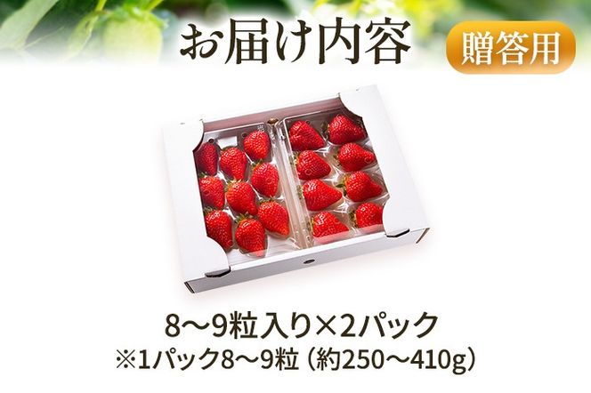 アフター保証 あまおう 8～9粒入り×2パック （先行受付／2025年1月以降順次発送予定）いちご 大粒 不揃い DX デラックス エクセレント 苺 イチゴ 福岡高級 フルーツ 土産 福岡県