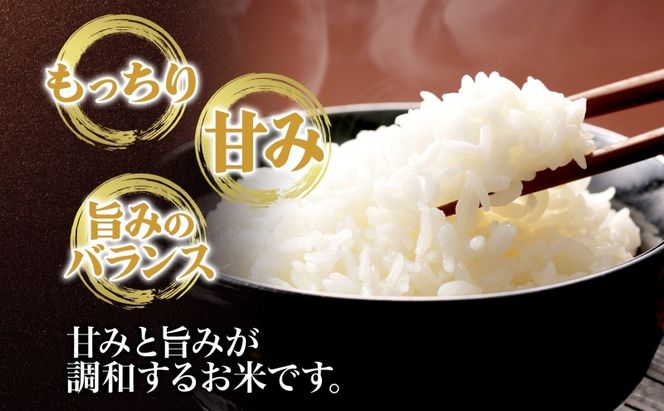 定期便 全3回 天水の恵米 彩のきずな 白米 5kg 3回 計15kg お米 粘り もっちり 国産 白米 ご飯 もちもち 柔らかい お弁当 おにぎり らんざん営農 ギフト 贈り物 嵐山町 埼玉県