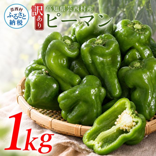 訳ありピーマン 1kg P.SUKE（ピースケ）野菜 新鮮 みずみずしい 肉厚 料理 サラダ スティック野菜 野菜炒め 肉詰め 青椒肉絲 高知県 芸西村
