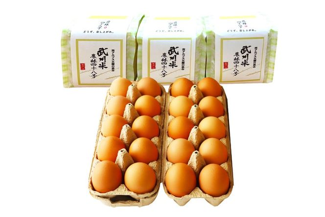 卵 こだわりの卵かけご飯 セット 穂坂のあかたま 10個 2パック 武川米 450g 3袋 [ハイチック 山梨県 韮崎市 20745484] たまご タマゴ あかたま あかいろ 米 お米 コメ ご飯 たまごかけご飯