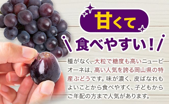 【2026年発送先行予約】ご家庭用 岡山県産 ニューピオーネ 1.2kg 2-3房 晴れの国おかやま館 《2026年9月上旬-10月上旬頃出荷》岡山県 矢掛町 葡萄 ぶどう 果物 スイーツ フルーツ デザート【配送不可地域あり】（離島）---ofn_choknp_ad9_25_15500_12---