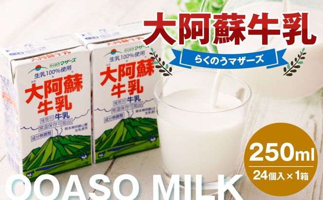 yF{Vsz刢h 250ml×24i1j  ~N  pbN pbN OCt ۑ 퉷 F{ Vs