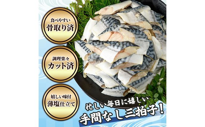 y{茧쒬zԌ TotB[1tI  ΐؐg(40؂) Ƃ Toؐg  ؂g I  To I Ȃ  Jbg Ă ȒP tC  CN Ⓚ ٓ  yAW-47zyېYz