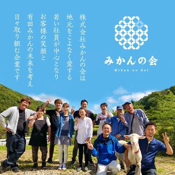 はれひめ みかん 箱込 5kg（内容量約 4.4kg） 秀品 優品 混合 サイズミックス 和歌山県産 産地直送【みかんの会】  AX388