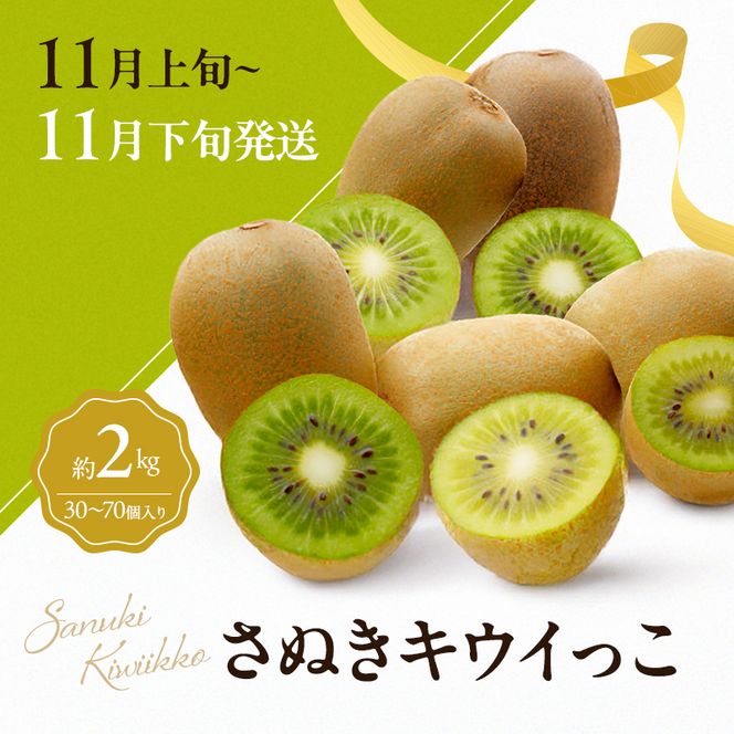 讃岐のキウイ定期便（全3回）【さぬきゴールドキウイ】【さぬきキウイっこ 】【香緑キウイ】