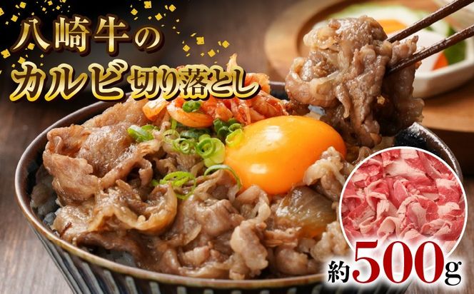 y{茧sz苍̃Jr؂藎Ƃ 500g N0105-YA0490