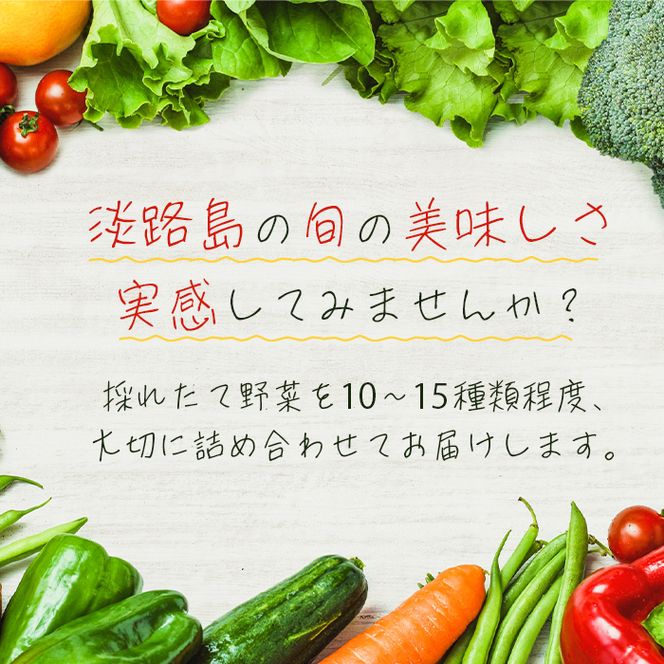 淡路島の旬の野菜セット（10～15種類程度）　野菜詰め合わせ