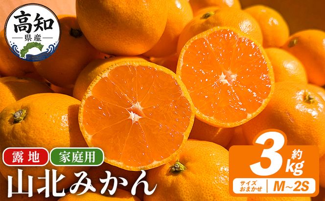 山北みかん（露地） 3.0kg 家庭用 sq-0002