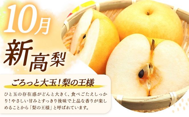 梨 定期便 秀品 3ヶ月連続 梨の定期便 選べる 内容量 計5.4kg 計9kg 計15kg 日本フルーツ株式会社《8月上旬-10月末頃出荷》熊本県 長洲町 なし ナシ 豊水梨 秋月梨 新高梨 果物 フルーツ---sn_cnfzntei_29500_mini_aug3---