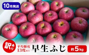 【10月発送】早生ふじ 約5kg 訳あり りんご 【平均糖度13度以上】 林檎 フルーツ 果物 青森県 鶴田町