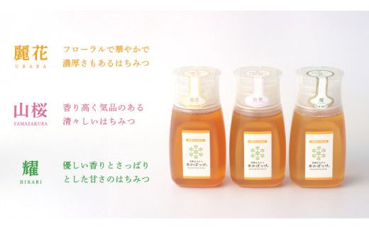 【 数量限定 】山桜 はちみつ と春の 田舎はちみつ の 3種 ギフト セット [ B3山桜 280g ]（ 茨城県共通返礼品： 五霞町 ） 生ハチミツ 蜂蜜 非加熱 茨城県産 国産 天然 純粋 贈答用 [EG002us]