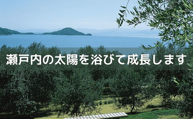 〈オーズファーム〉小豆島産 エキストラバージンオリーブオイル（100g×2） 食用油 
