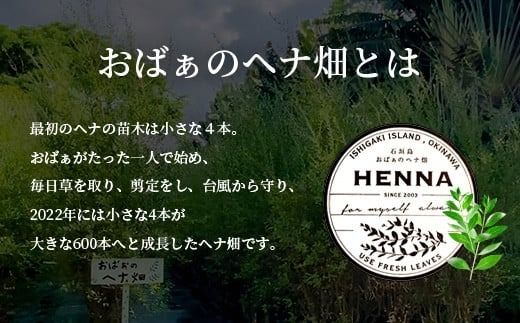 「石垣島産 ヘナ石鹸（大）100g×1個、(小)50g×3個セット」 【 美容 石鹸 オーガニック 無添加 】 NE-4