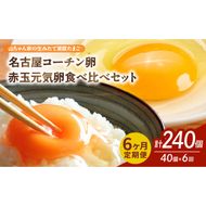 【6ヶ月定期便】【山ちゃん家の生みたて葉酸たまご】名古屋コーチン卵・赤玉元気卵 食べ比べセット（各20個 合計40個入り）［132Y12-T］6ヶ月定期便 山ちゃん家 生みたて 葉酸たまご 名古屋コーチン卵 赤玉元気卵 食べ比べ セット 各 20個 合計 40個 入り 地鶏 卵 朝食 卵焼き 目玉焼き オムライス ゆでたまご 山田養鶏 お取り寄せ 愛知県 小牧市 送料無料