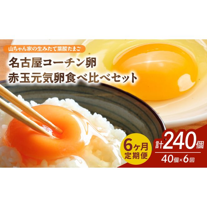 ymqszy6ցzyRƂ݂̐ėt_܂zÉR[`EԋʌC Hה׃Zbgie20 v40jm132Y12-Tn6 R ݂ t_܂ ÉR[` ԋʌC Hה Zbg e 20 v 40  n