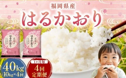 【1ヶ月毎4回定期便】 はるかおり 10kg 計40kg ／ 米 コメ お米 ライス ご飯 ごはん 飯 食品 精米 定期便 常温 福岡県 香春町